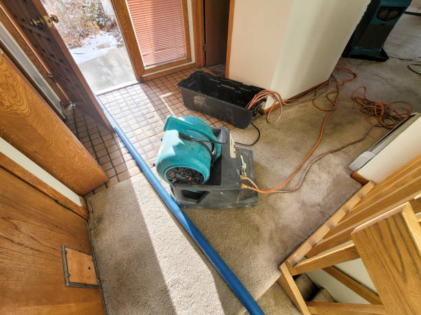 Best Flood restoration services  in Riverdale, IL