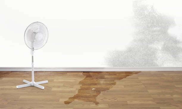 Best Fire Damage Restoration  in Riverdale, IL